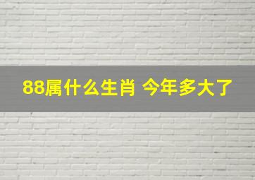 88属什么生肖 今年多大了